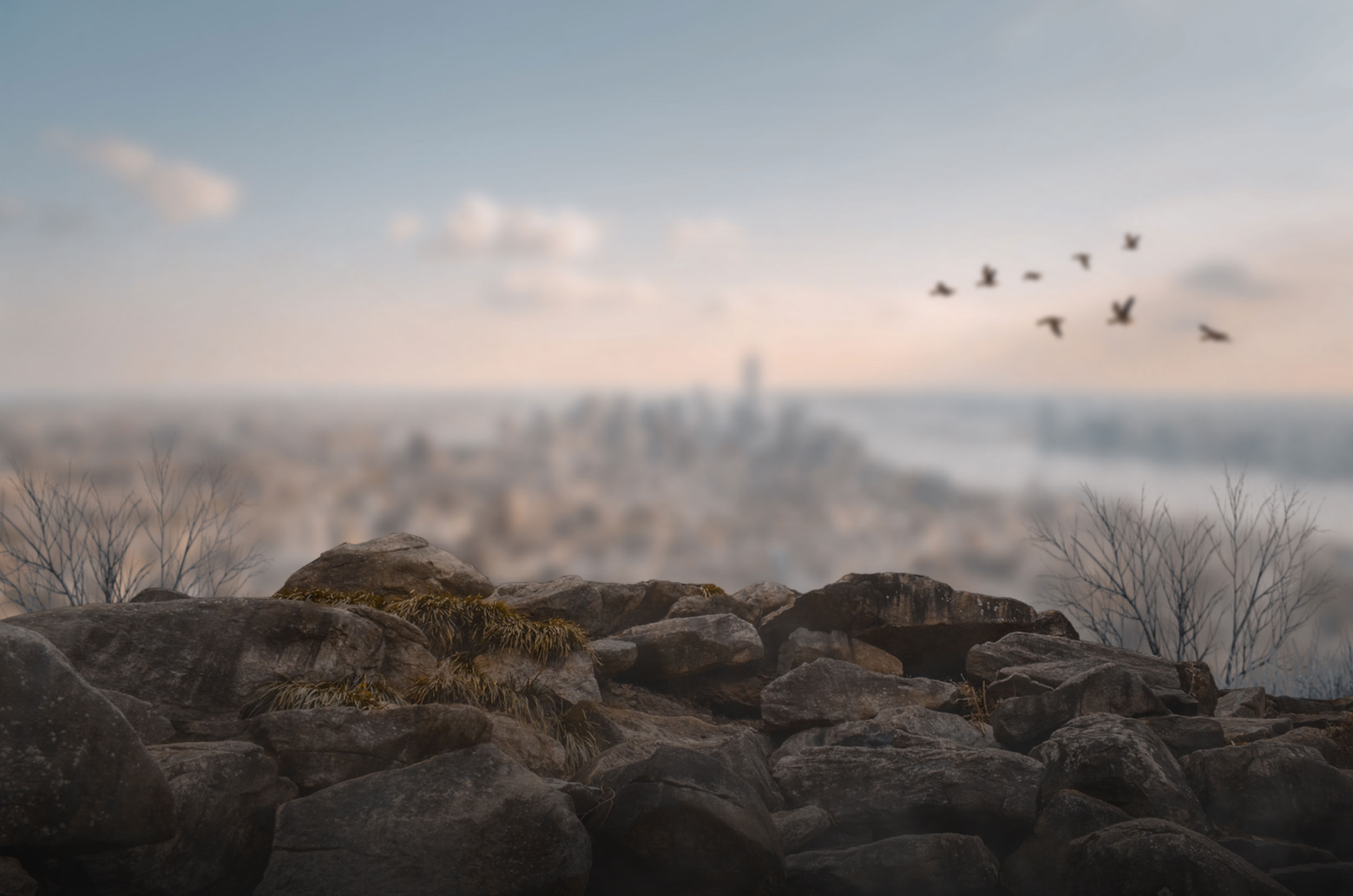 Stone Blur Background City View Free Stock Photo [ Download ]