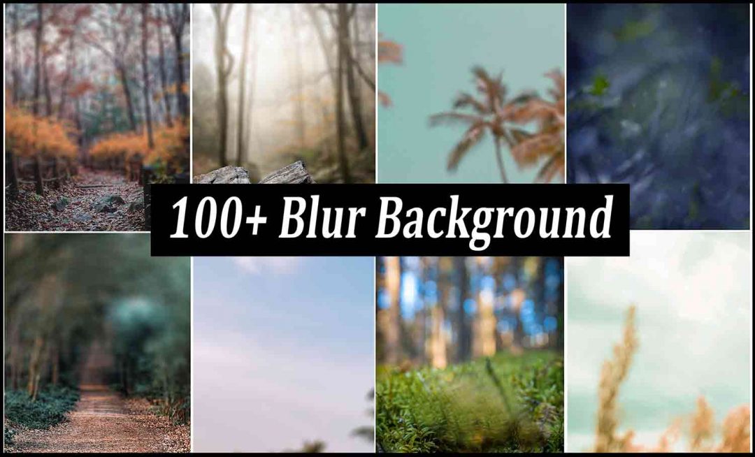 Blur Background hd Free Stock 
