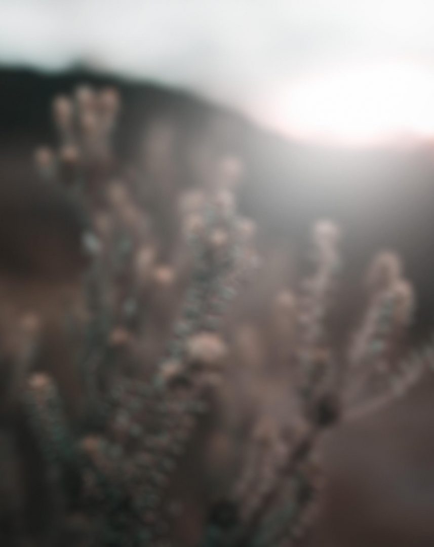 Blur Background HD Free Stock Images