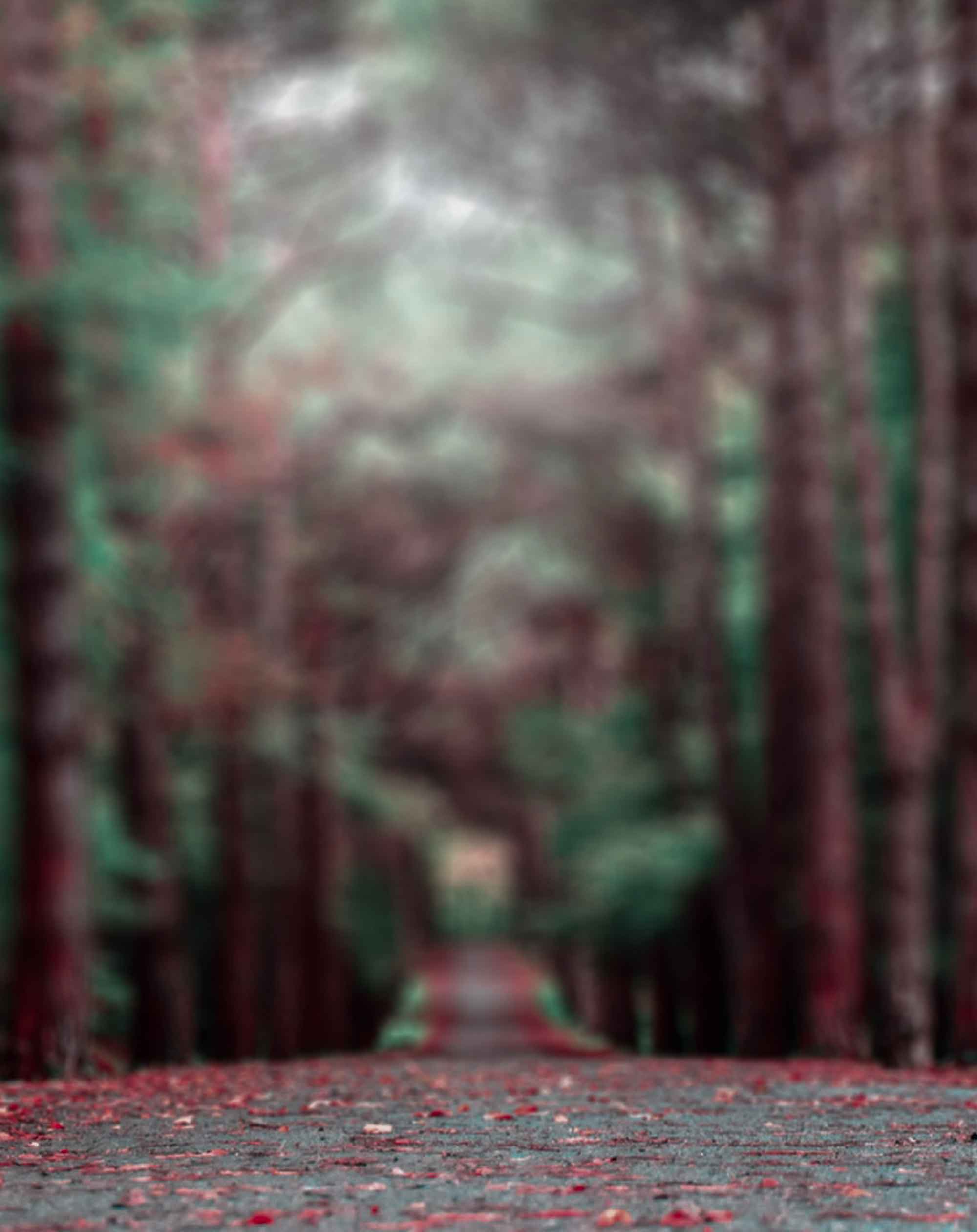 Total 54+ imagen blur background wallpaper hd download