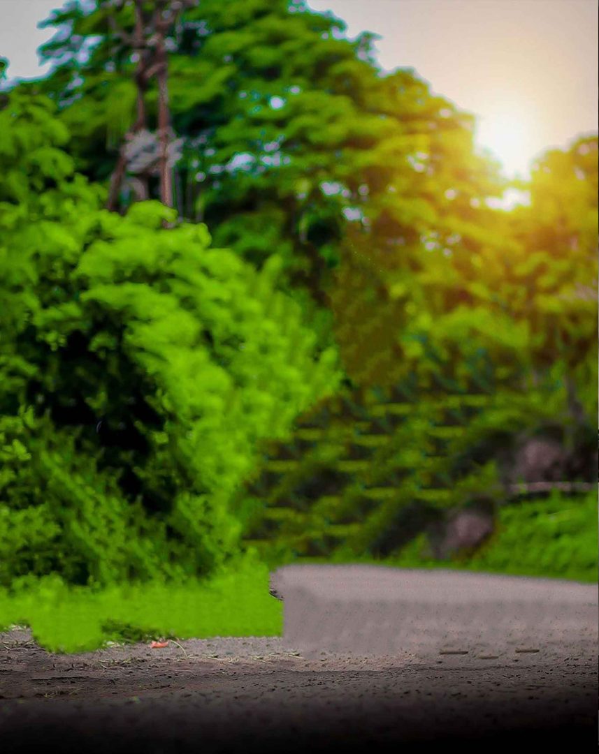 Green Nature CB Background For Photo Editing [ Download ]