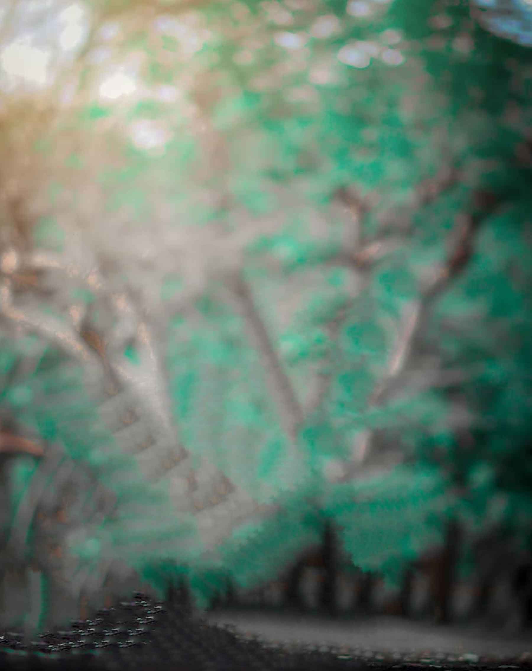 Độ sáng tối nền xanh (Dark tone green background): Bao gồm màu xanh đậm và độ sáng thấp, độ sáng tối nền xanh là một lựa chọn tuyệt vời để tạo ra bức ảnh cá nhân hoặc sử dụng cho công việc. Hãy đến và khám phá một loạt những bức ảnh có nền xanh tối độc đáo, chắc chắn sẽ đem lại cho bạn những trải nghiệm thú vị.