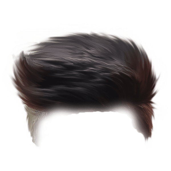 566+ Hair PNG Best CB Hairstyle Download – MMP PICTURE