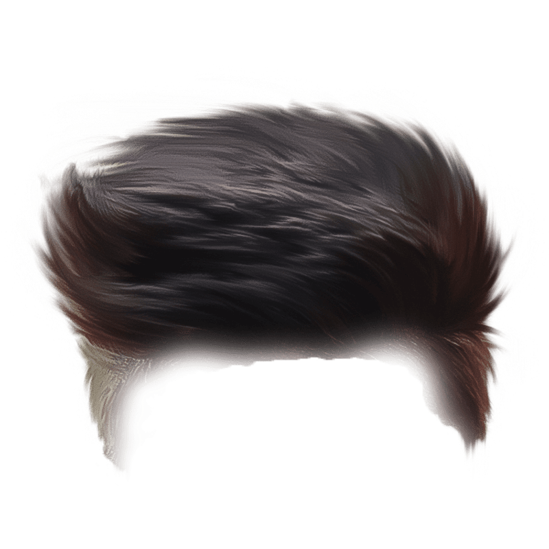 Oil Paint CB Hair PNG Full HD Transparent Image