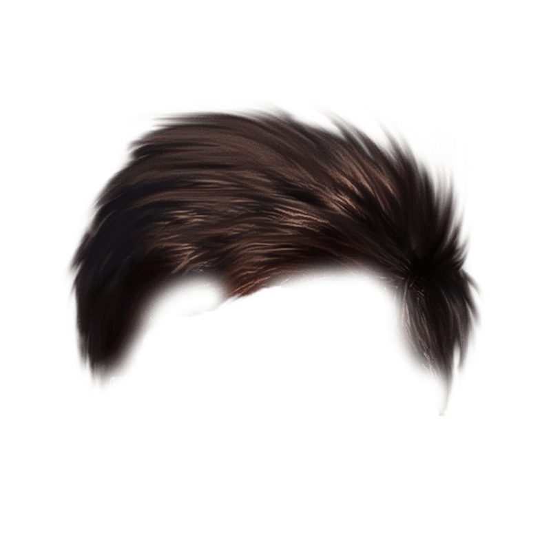 Silky Brown CB Hair PNG Full HD Transparent Image