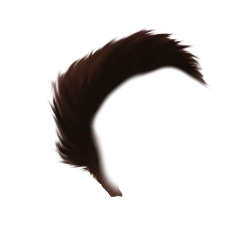 Brown Thick CB Hair PNG Full HD For Editing
