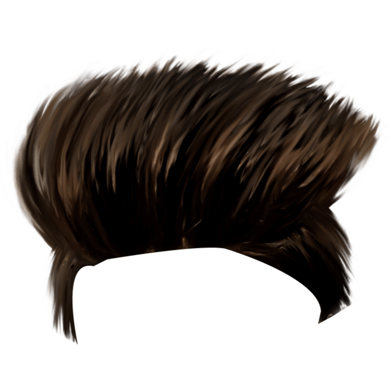 Trendy Style Hair PNG Full HD Transparent