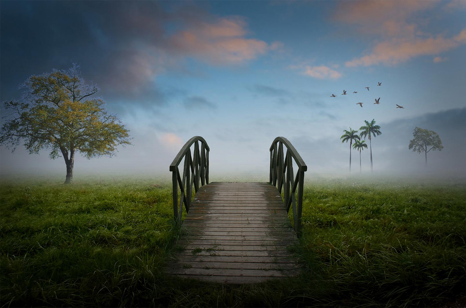 Beautiful Bridge With Foggy Background Free Stock [ Download ]