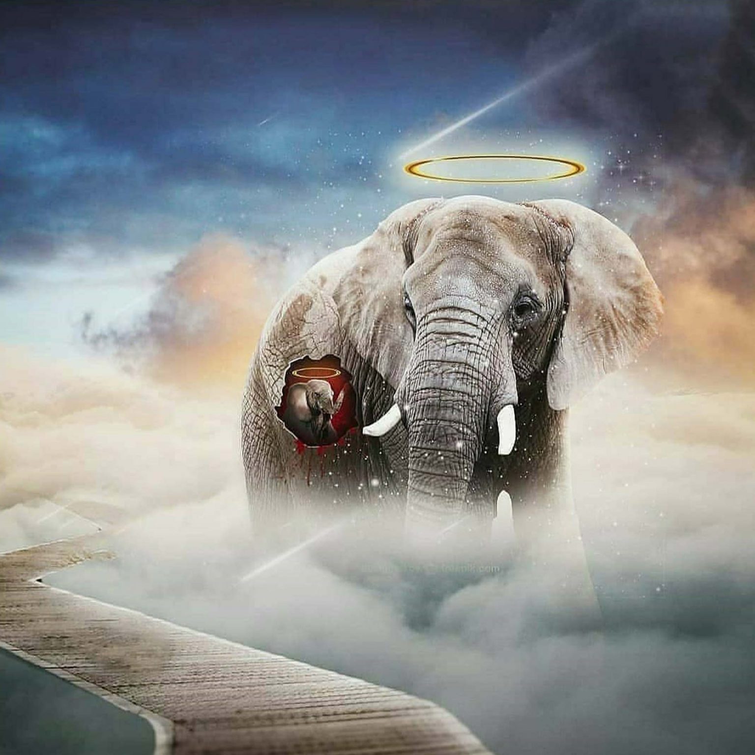 Heaven Elephant PicsArt Background Free Stock Image