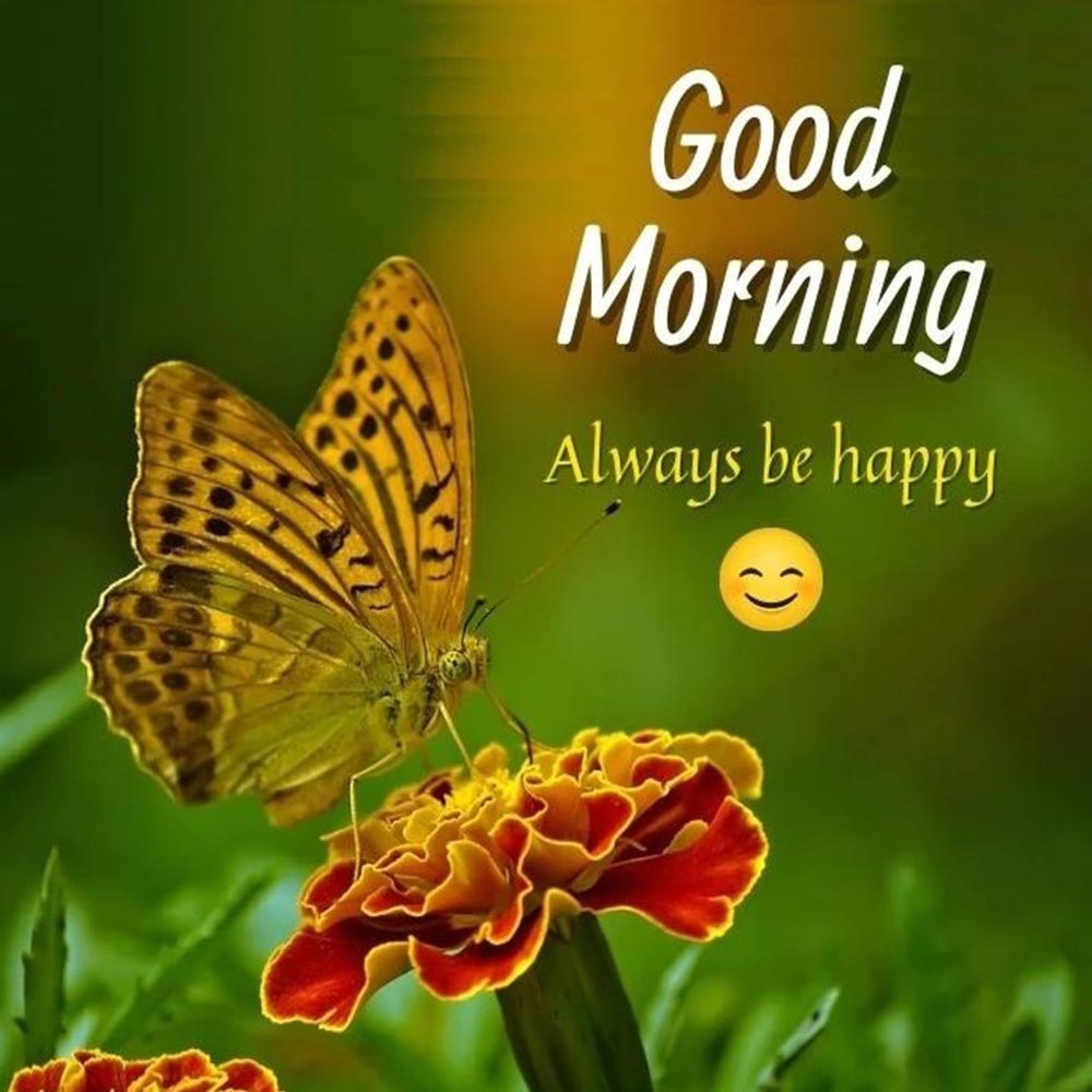 Be Happy Good Morning Image Free Wishing Pic [ Download ]