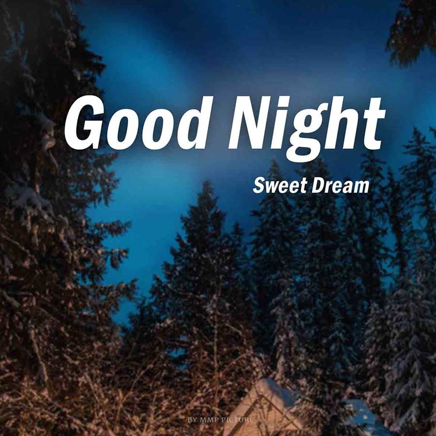 Forest Good Night Image For WhatsApp
